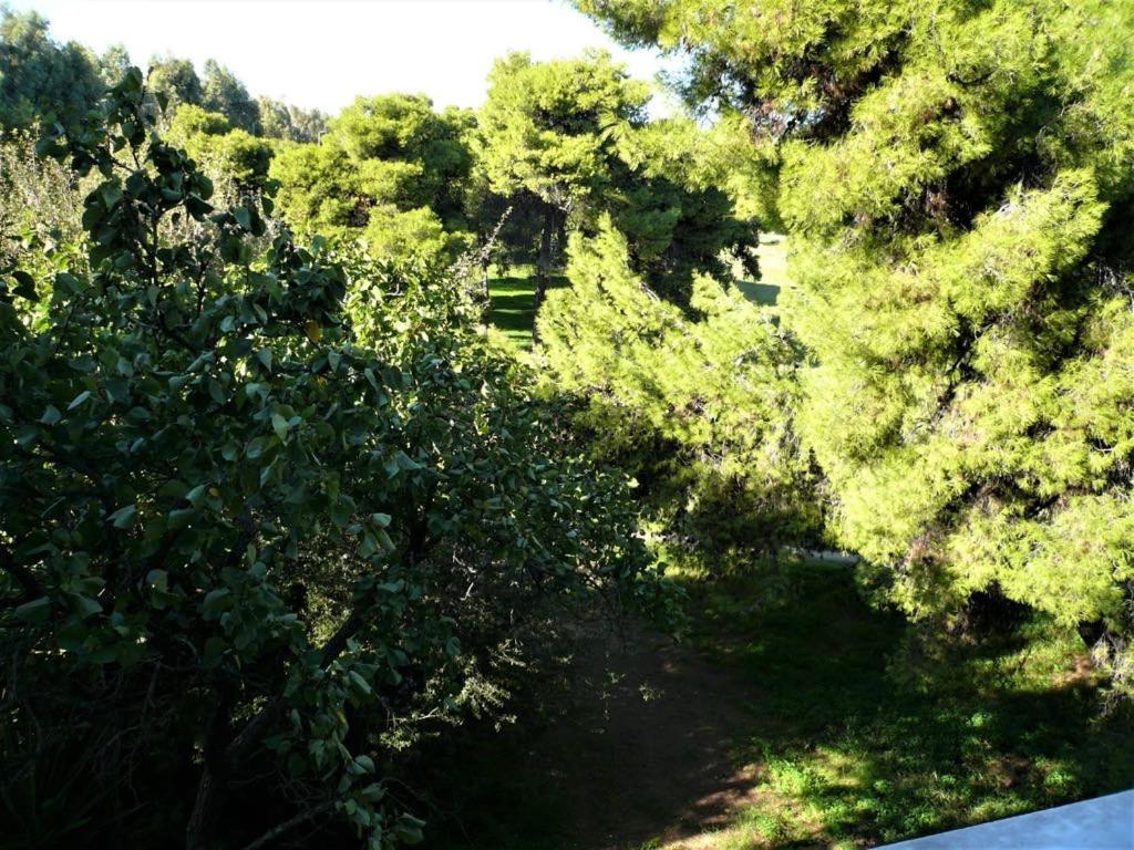 Miliannas Athens